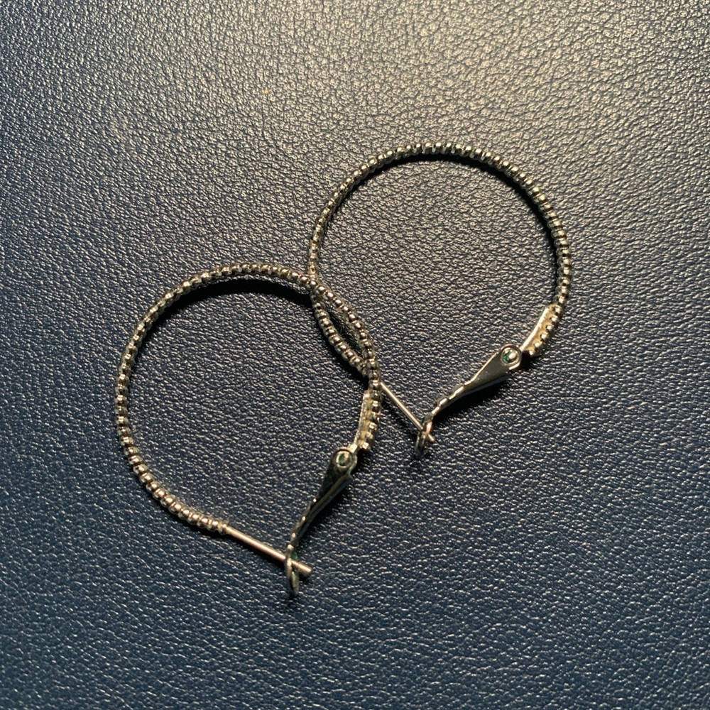 Earrings